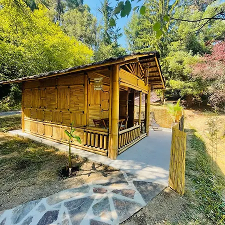 Bed & Breakfast Bambou Bien-etre A Bali - Le Soleil Des Cevennes Saint-Jean-du-Gard