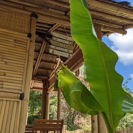 Bambou Bien-etre A Bali - Le Soleil Des Cevennes Bed & Breakfast Saint-Jean-du-Gard