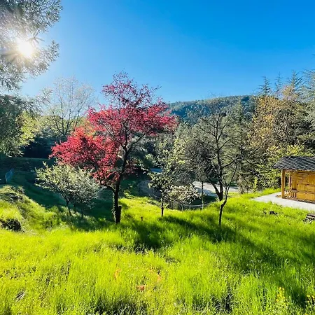 Bed & Breakfast Bambou Bien-etre A Bali - Le Soleil Des Cevennes Saint-Jean-du-Gard