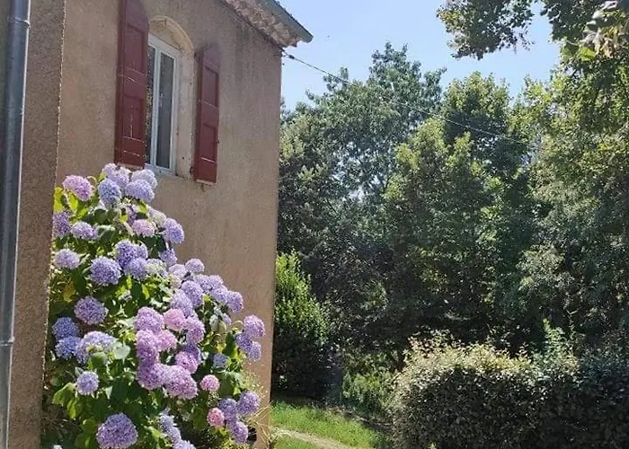 Bambou Bien-etre A Bali - Le Soleil Des Cevennes Saint-Jean-du-Gard