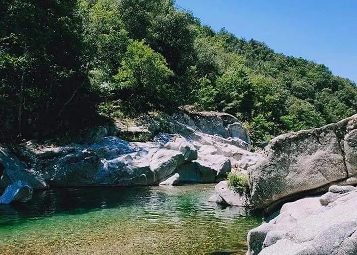 Bambou Bien-etre A Bali - Le Soleil Des Cevennes Saint-Jean-du-Gard