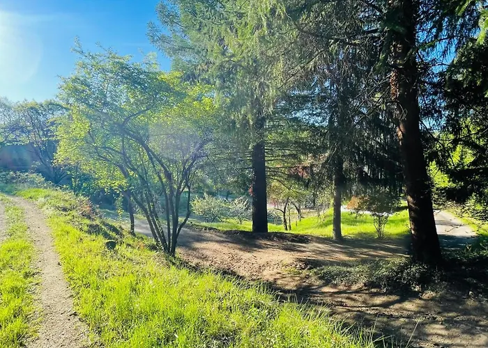 Bambou Bien-etre A Bali - Le Soleil Des Cevennes Panzió